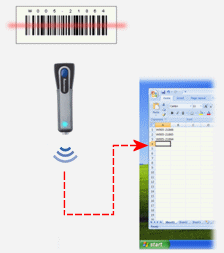 ݔ����ӱ���