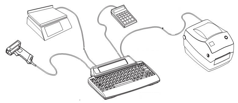 �yԇ�Y(ji��)��