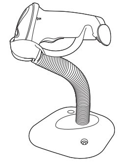 ����֧��