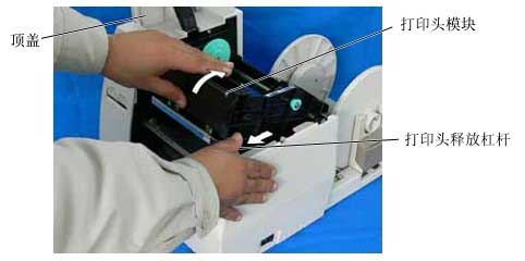 移動打印頭釋放桿