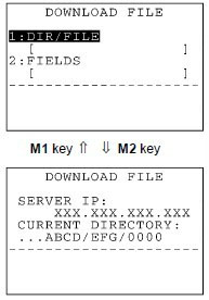 FTP download����